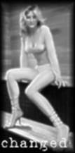 blisssauna.jpg (7353 bytes)